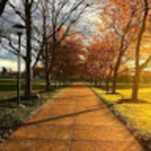 Meet your Posher, Thomas